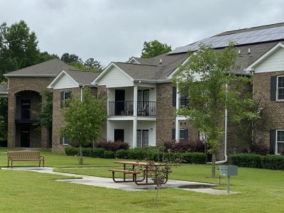 Camellia Lane